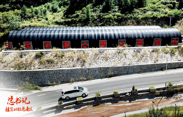 總書(shū)記掛念的紅色老區(qū)：對(duì)這里，總書(shū)記有“一個(gè)情結(jié)”